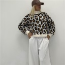 maglioncino leopardato hairy